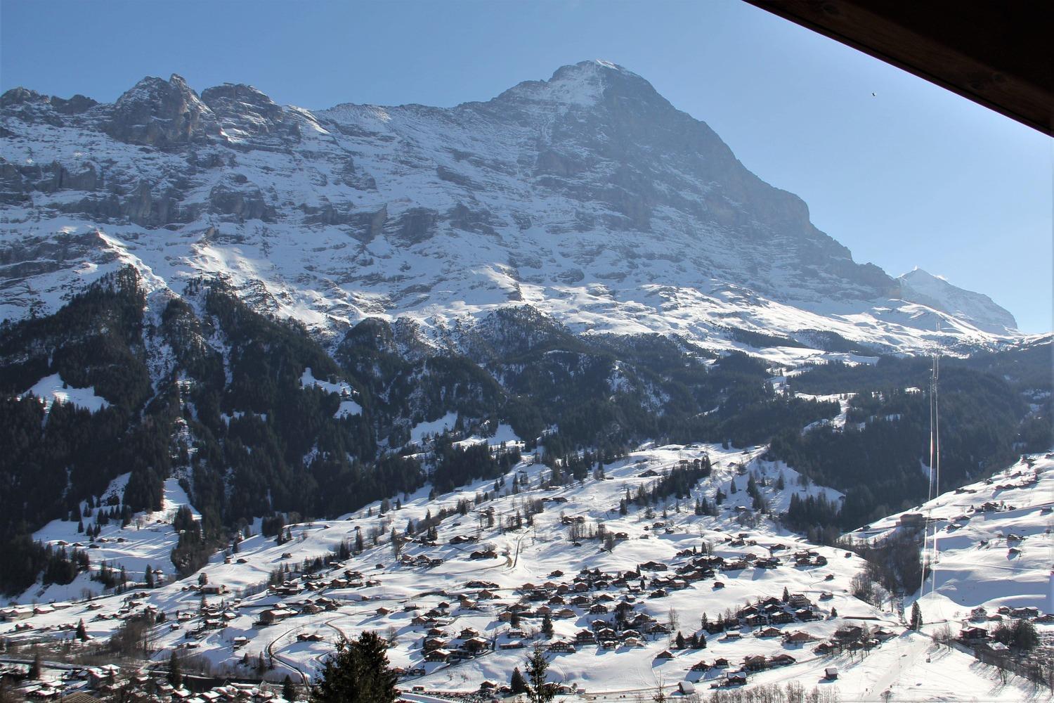 Lodge - Elements Lodge Grindelwald Værelse billede