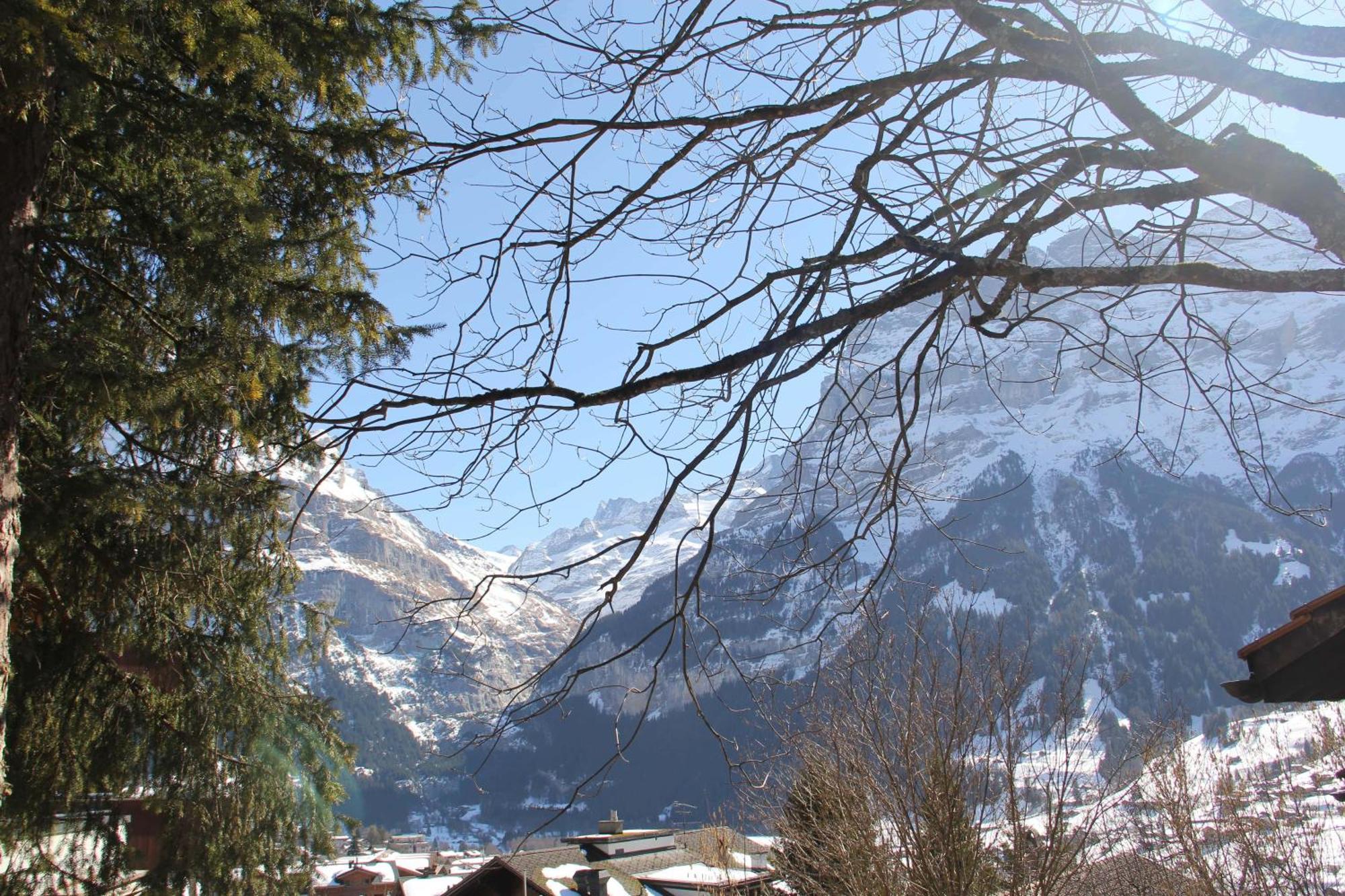 Lodge - Elements Lodge Grindelwald Eksteriør billede