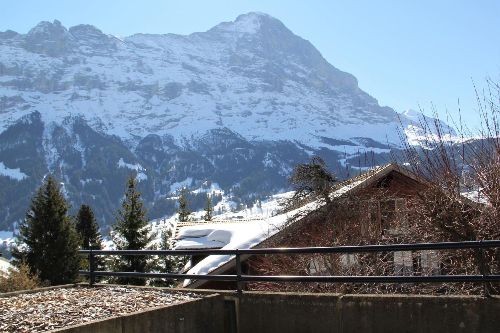 Lodge - Elements Lodge Grindelwald Eksteriør billede
